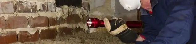 Pest control technician inspecting a crawl space for ant activity and entry points in Aurora, IL