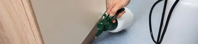 Bed bug exterminator treating baseboards and cracks with targeted spray in Aurora, IL