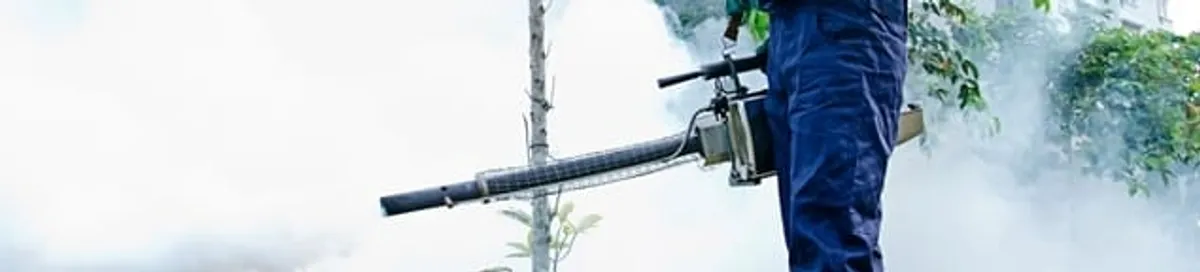 Pest control technician fogging an outdoor area for insect control in Aurora, IL