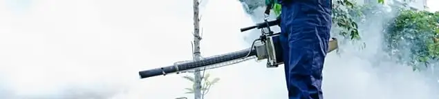 Pest control technician fogging an outdoor area for insect control in Aurora, IL