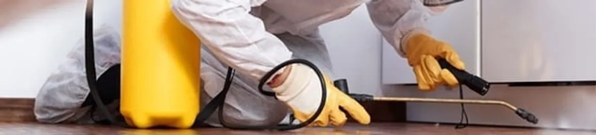 Roach exterminator treating cracks and crevices along kitchen baseboards in Aurora, IL
