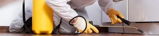 Roach exterminator treating cracks and crevices along kitchen baseboards in Aurora, IL