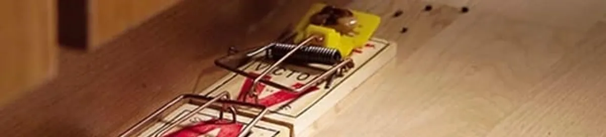 Rodent trap set indoors for rodent control and prevention in Aurora, IL