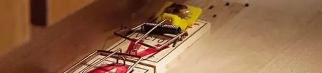 Rodent trap set indoors for rodent control and prevention in Aurora, IL